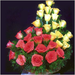 "Fruit Basket, Cash Gift Voucher  - Rs 1000 - Click here to View more details about this Product